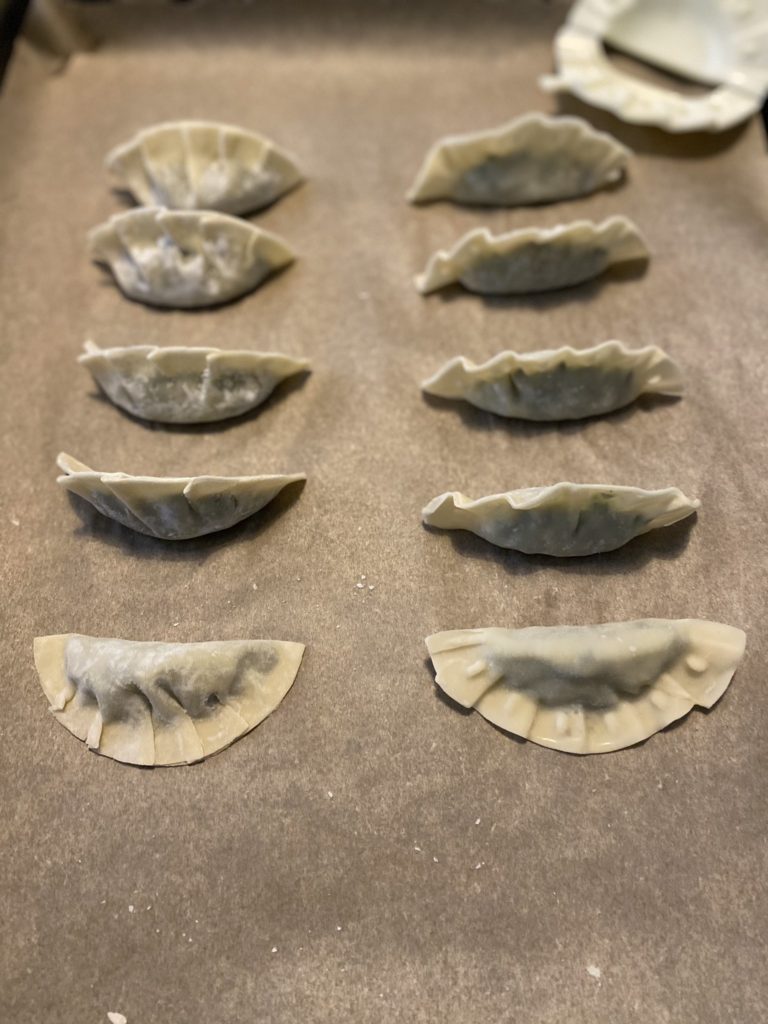 gyoza making